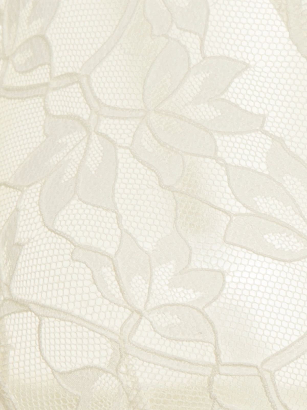 Silk-Mist Ivory Floral Lace Bralette