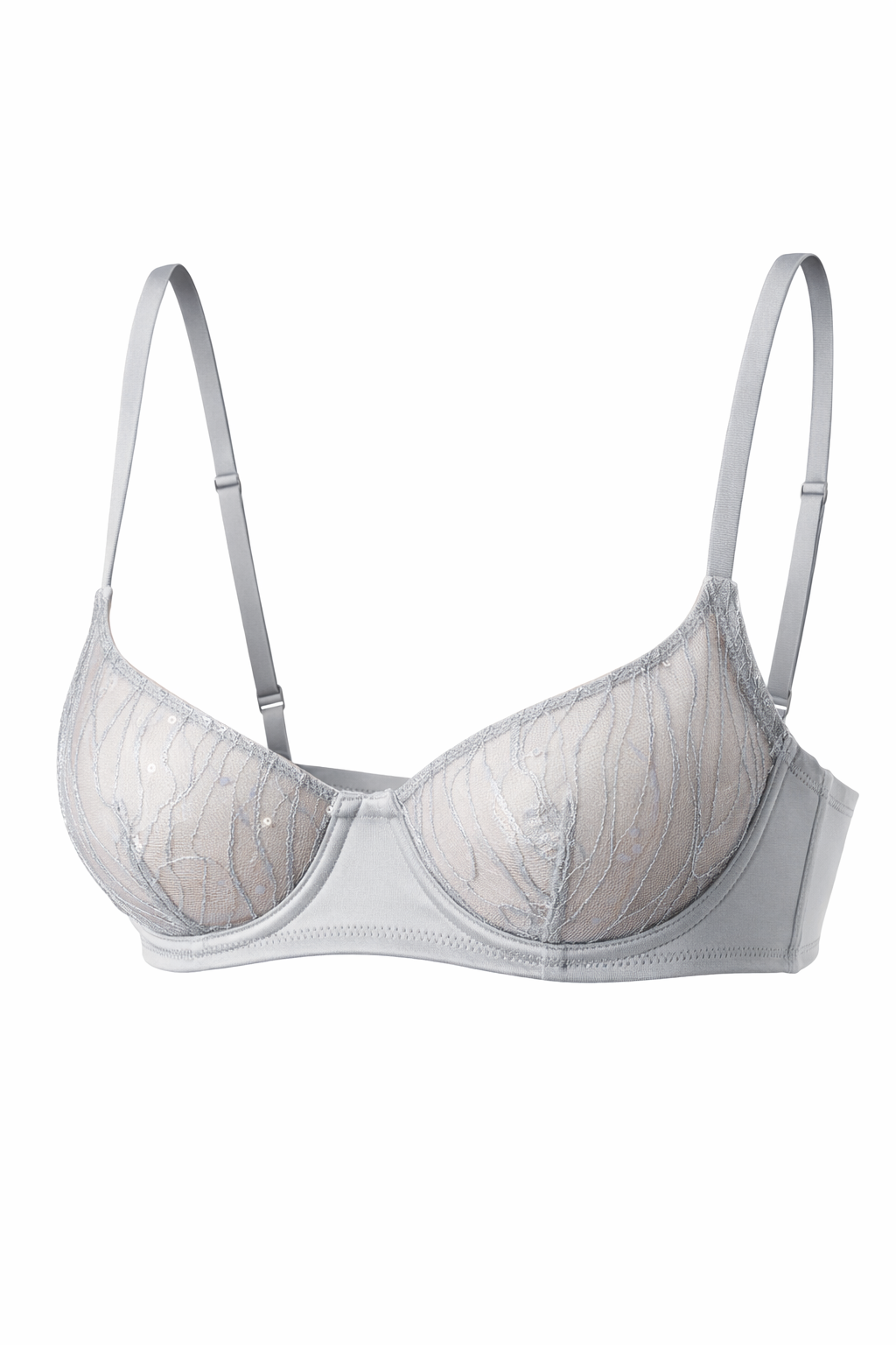Moonlight Silver Embroidered Underwire Bra with Subtle Sequins