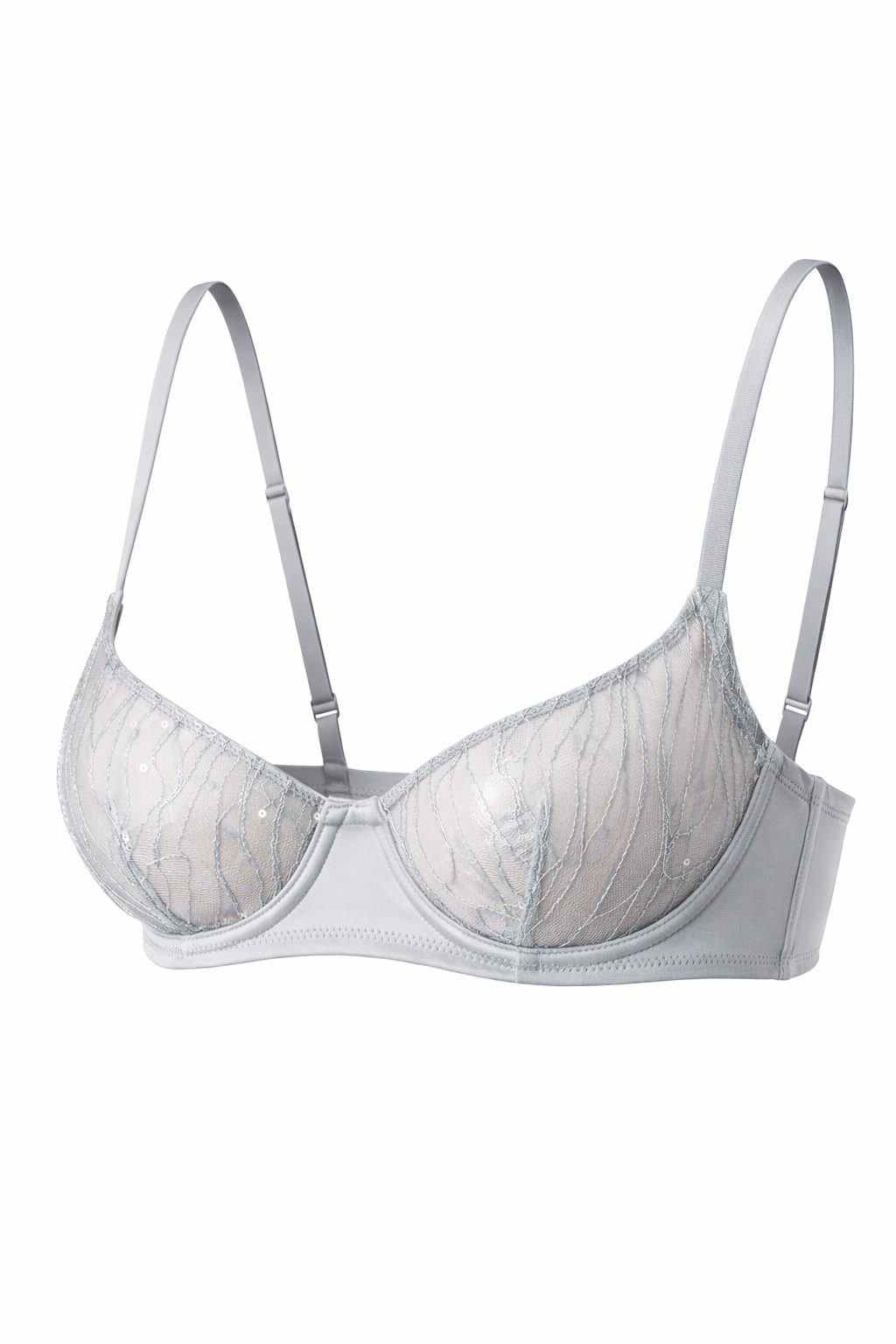 Moonlight Silver Embroidered Underwire Bra with Subtle Sequins