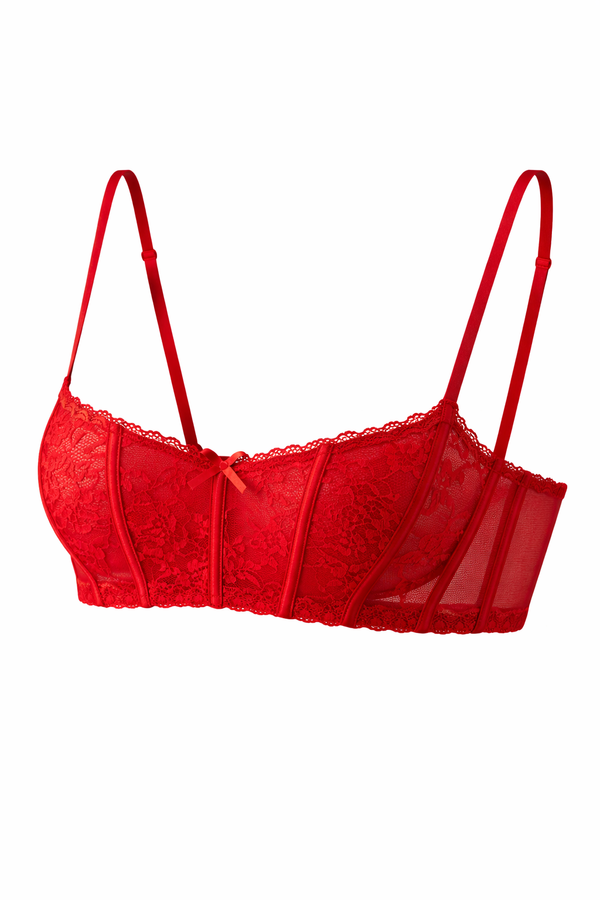 Siren Red Floral Lace Longline Bra with Corsetry Boning