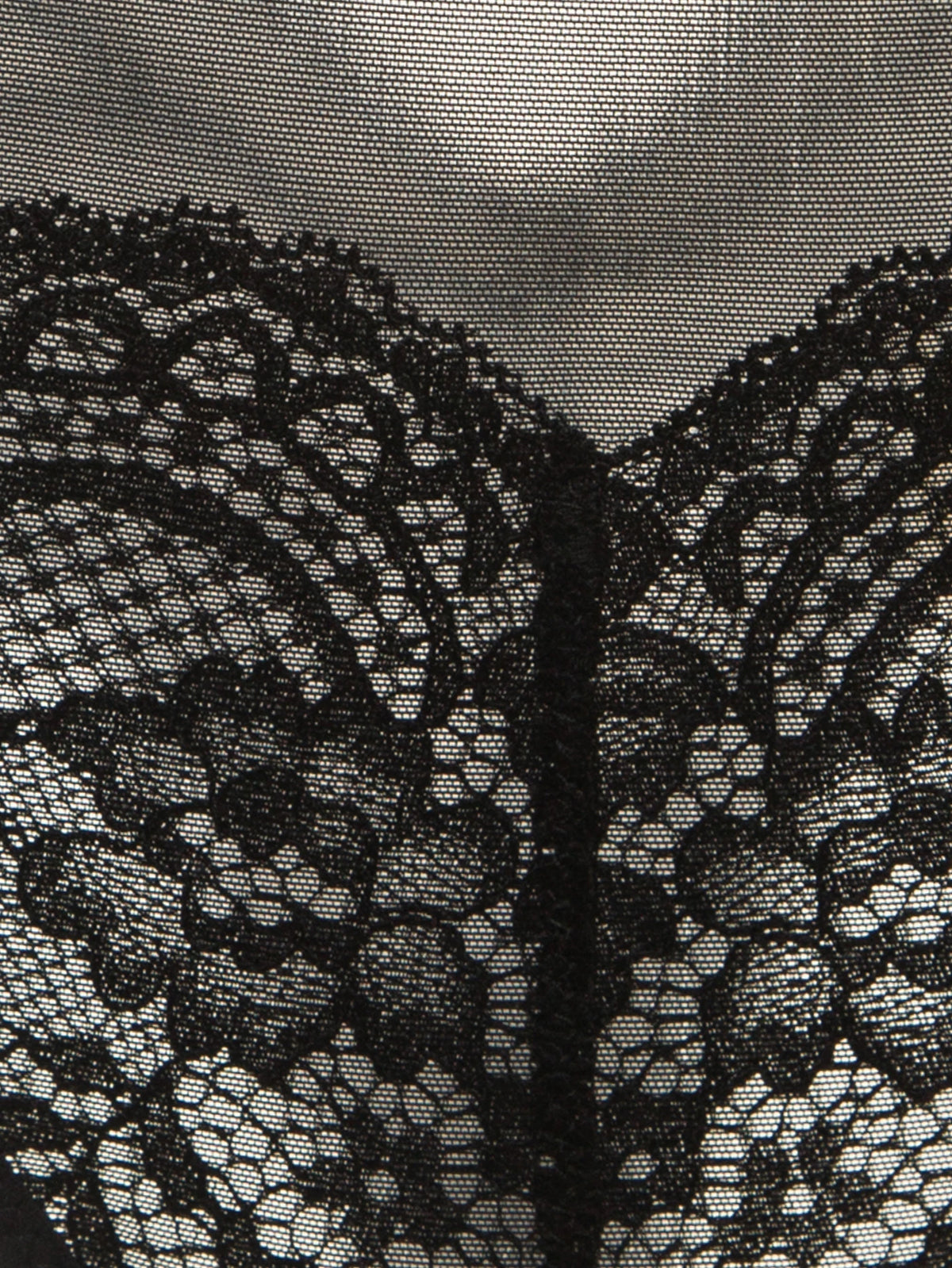 Midnight Noir Strappy Lace & Mesh Panty
